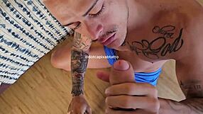 the gringo swallows and takes it