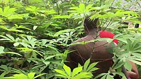Softkind seduces his stepmother in the woods.