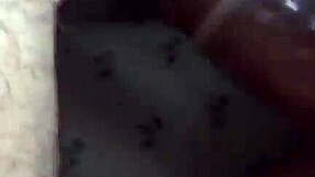 Comendo A Tiazinha 02 Iphone