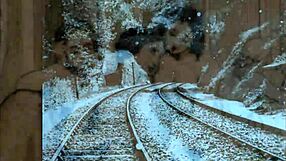 Vintage erotic drawings evoke nostalgic feelings