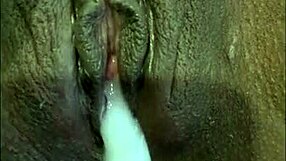 yo, check this wild gozadas compilation with the best cumshots ever, it's insane