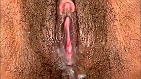 yo, check this wild gozadas compilation with the best cumshots ever, it's insane