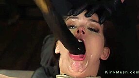 Hogtied Brunette Punished with Huge Dildo Fucking