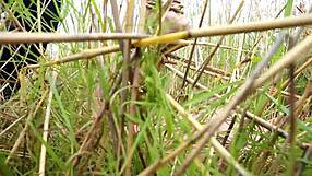 anime hentai with naked bound characters in bondage scenes