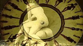 Dark Lantern Entertainment představuje erotické zpovědi na mořské plavbě