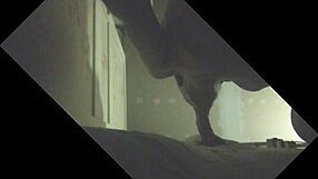 Gay amateur gets a glory hole blowjob and cums hard