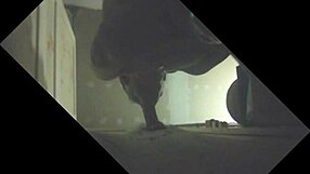 Stallion Drains Balls in Glory Hole.