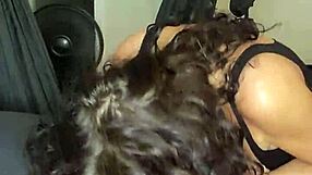 Ash Hollywood Rims Slut