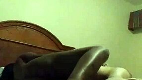 black shemale pounds latina ass