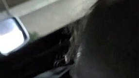 favorite white woman suck my dick