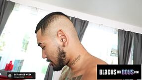 i love sucking that big black cock in our gay threesome