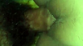 Amateur couple engages in passionate homemade encounter