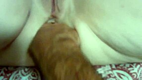 ลูกพี่ลูกน้อง Jerry เย็ดก้น Mommavee แรงด้วยควยใหญ่เพื่อความสนุกเฟี้ยว