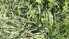 Slut Gretala Squirts In Meadow Cave With Gaping Pussy Orgasm