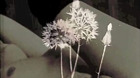 confissões interraciais vitorianas vintage lanterna escura