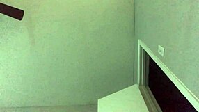 wow, cassidy avery, just 18, takes on a massive donkey dick!