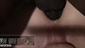 Zafiro and Aidan in an interracial gay preview scene