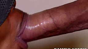 An amateur black bull fucks a black cow and makes her swallow his cum