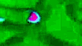 No Panties Twerking Big Tits Big Ass Redheads Girls Legendary Porn Compilation Babes