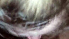 My Amazing Girl Sucking My Cock