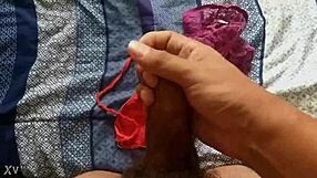 Cum in Sister-in-Law's Panties!