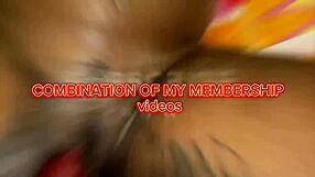 Various Videos from Membership Collection