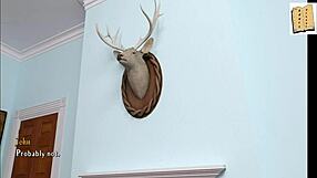 Being A Dik 12 Dik Route Adventure