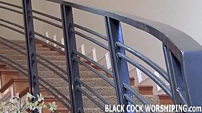 I let him fill my ass with his black cock while you watch, my cuckold husband.