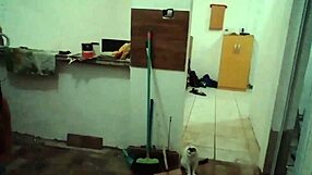 Show De Tetas Grandes Cozinheira Stella Still Full On Red