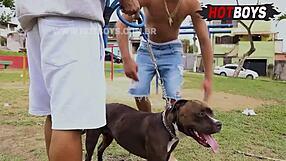 i'm giving blowjobs to big cocks in this gay threesome