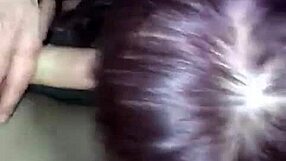 Young guy gets sucked by mature woman, so hot