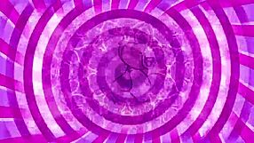 Confused Sissy Worships Cock