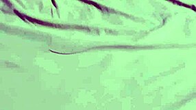 Latina Pornstar Uses Toys In Lingerie During Live Video Call With Follower Watching Ass Licking And Fucking