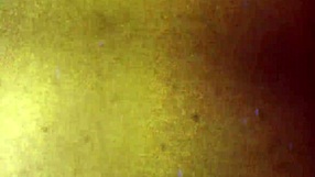 black tgirls londyn paris strokes herself