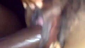 Ebony girl bursts nuts with monster cock