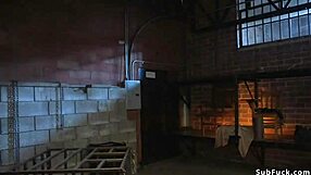 slave gets anal fucked in doggy bondage!