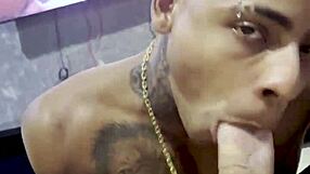 Mamando Meu Amigo Dotado Hardcore Gay Action.