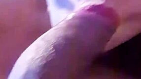 sexy blowjob from pamela pantera