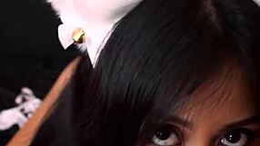 Photo session with a girl in kitten cosplay costume