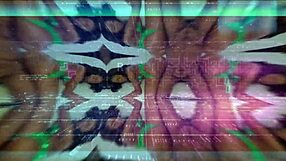 Wow, double date turns into wives sharing BBC in foursome!