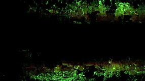 Vintage Erotic Drawings Collection