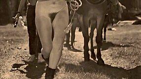 Dark Lantern Entertainment unleashes Beauty and the Beast retro heat!