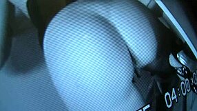 Brunette Ashley Coda Sucks Cock Through Bathroom Stall Glory Hole