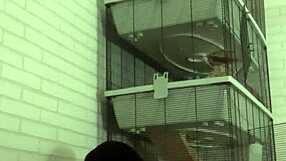 chilling on the sofa with some fun games and tattoos