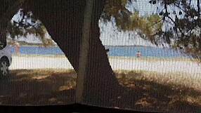 Quick Camping Fuck Leaves Hairy Pussy Cream Pied At The Lake