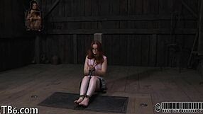 Free Sadomasochism Erotica Story For Readers