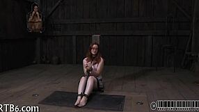 Free Sadomasochism Erotica Story For Readers