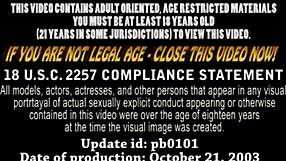 Prca s partnerkou v autobuse