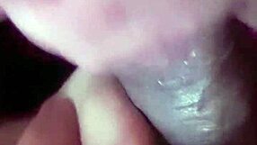 Suck My Cum Before Wife Comes?