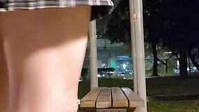 Does The Shemale Ladyboy Masturbate With Dildo In Skirt Outdoors?